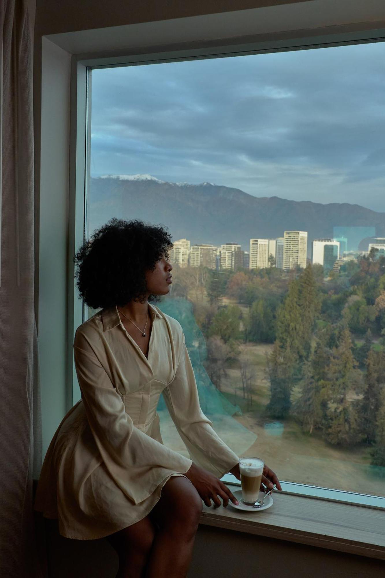 Pullman Santiago Vitacura Екстер'єр фото A woman with natural hair